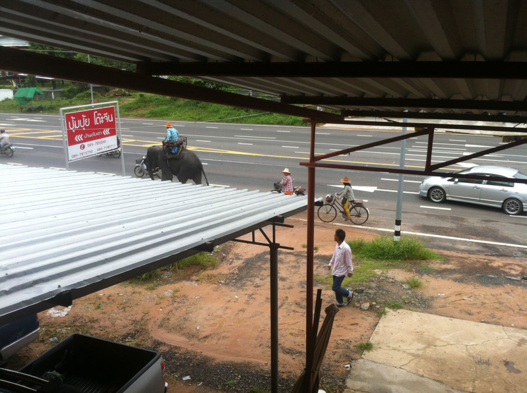 Blick aus dem Fenster- Juhu, der erste thailändische Elefant