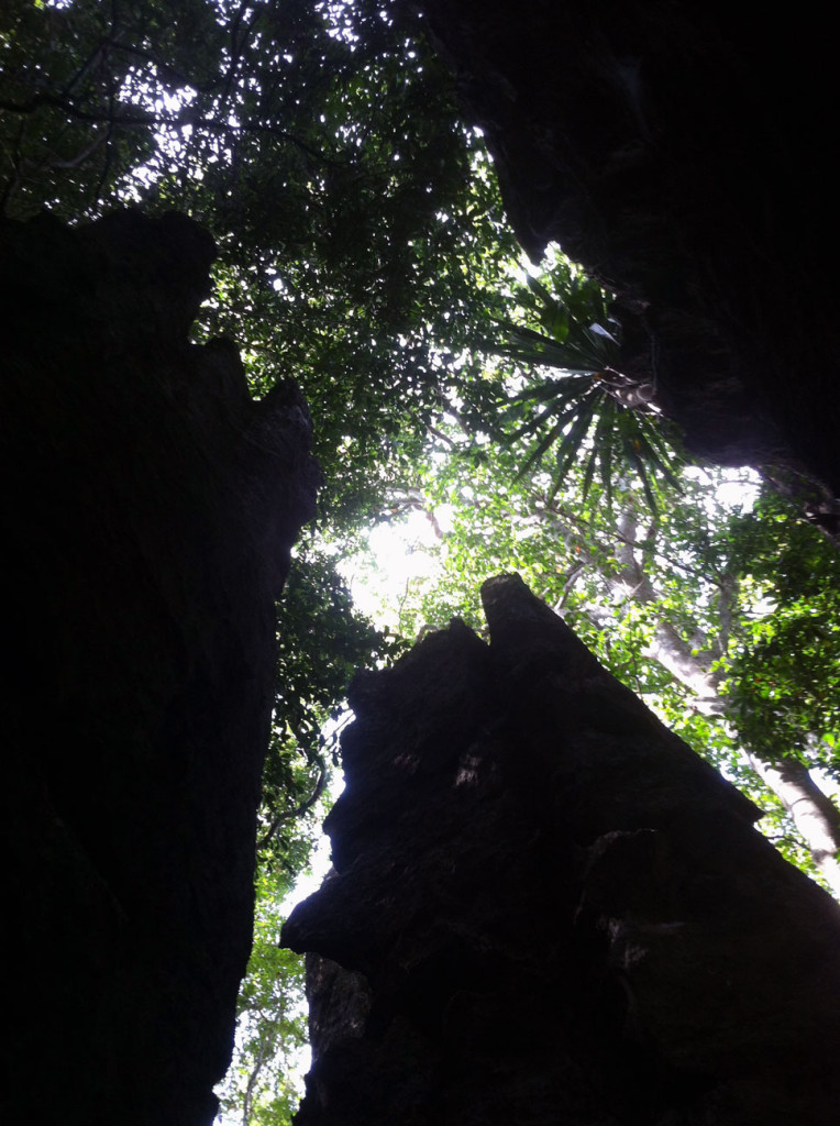 Trip nach "Loei"