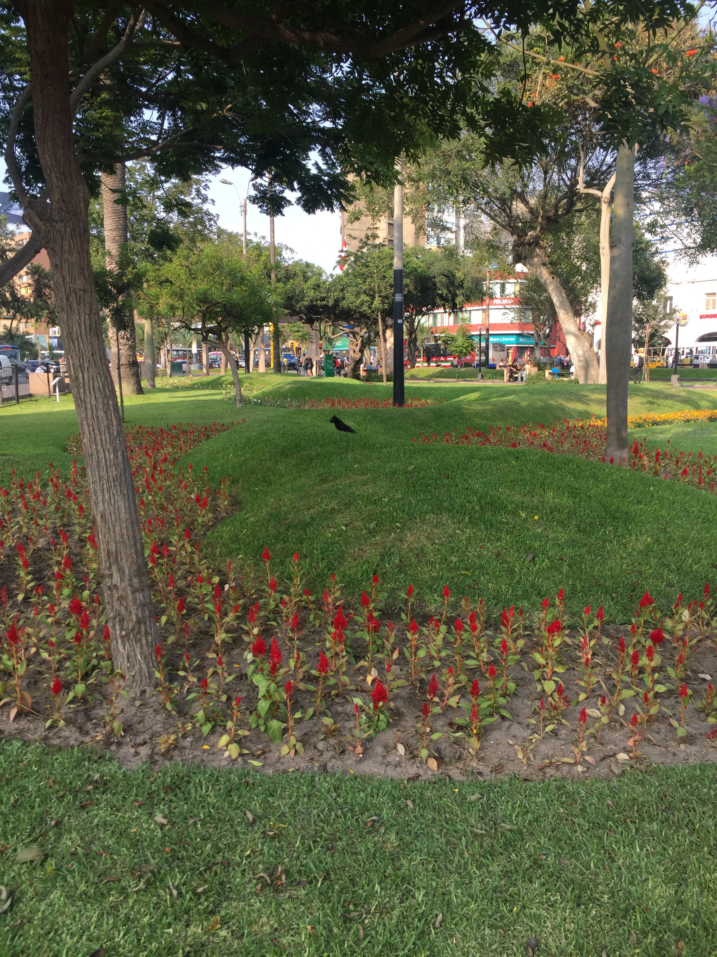 katzenpark